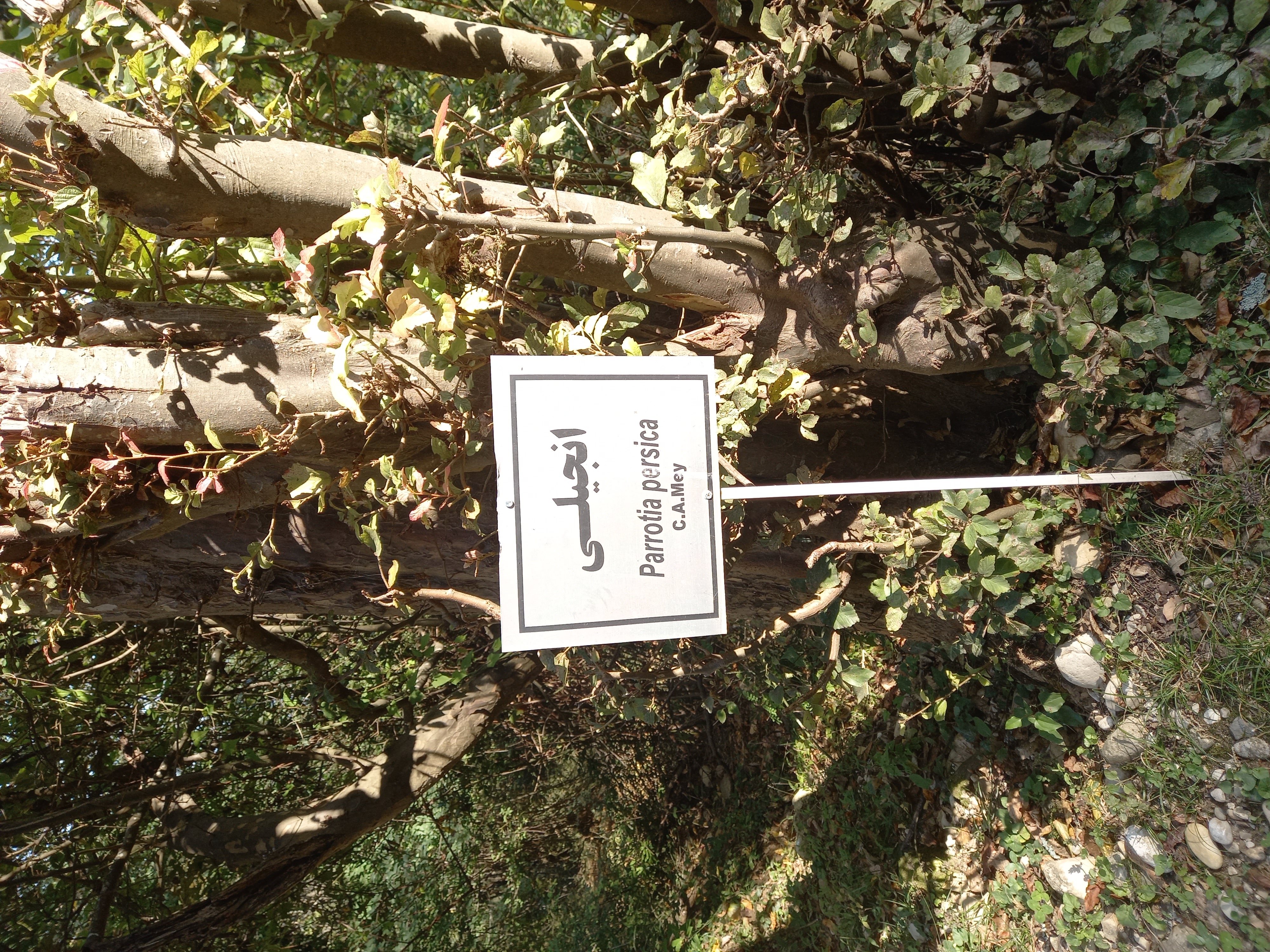 نبود حمایت سازمان "صداوسیما" و مسوولان از مستند محیط زیست/ اغلب مستندسازان بی کار هستند