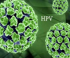 آنچه باید درباره بیماری «HPV» بدانید