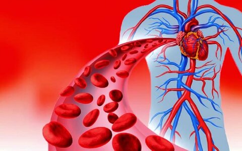 بهبود گردش خون با چند گیاه دارویی