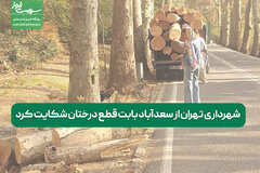 شهرداری تهران از سعدآباد بابت قطع درختان شکایت کرد