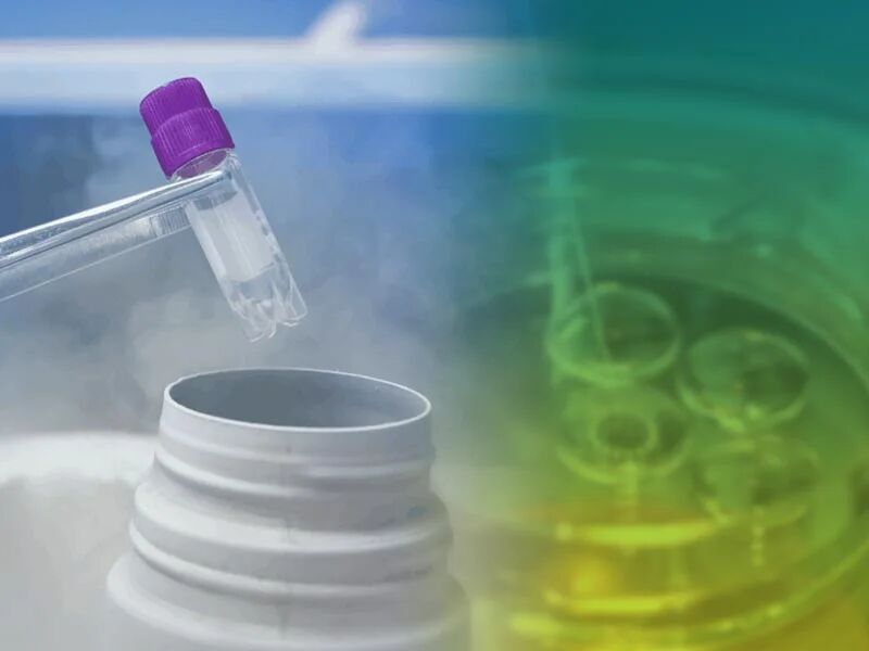 دختران مجرد برای فریز تخمک نیاز به اجازه پدر دارند؟ دختران مجرد برای فریز تخمک نیاز به اجازه پدر دارند؟