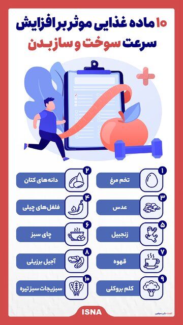اینفوگرافیک/ ۱۰ ماده غذایی موثر بر افزایش سرعت سوخت و ساز بدن