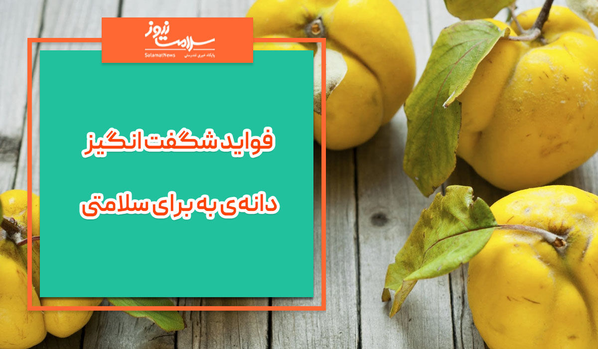 فواید شگفت انگیز دانهی به برای سلامتی فواید شگفت انگیز دانهی به برای سلامتی