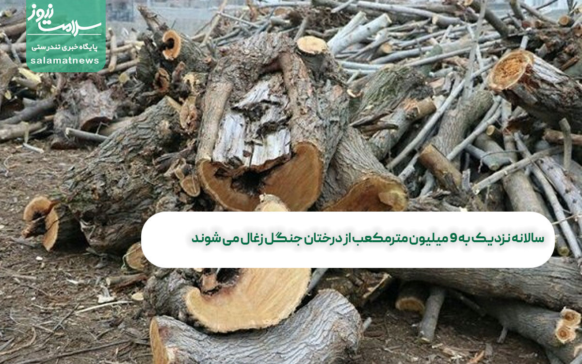 سالانه نزدیک به 9 میلیون مترمکعب از درختان جنگل زغال می شوند سالانه نزدیک به 9 میلیون مترمکعب از درختان جنگل زغال می شوند