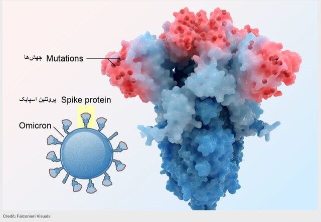 کرونا در جهان؛ جدیدترین سویه‌های در گردش در ماه‌های اخیر