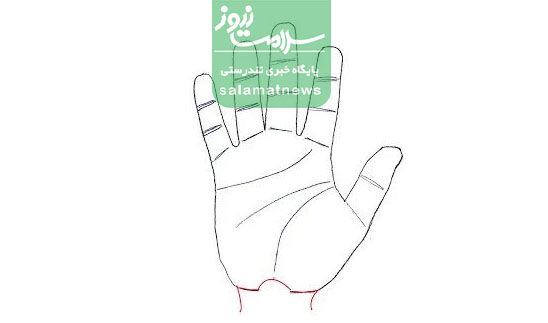 تشخیص بارداری از روی کف دست