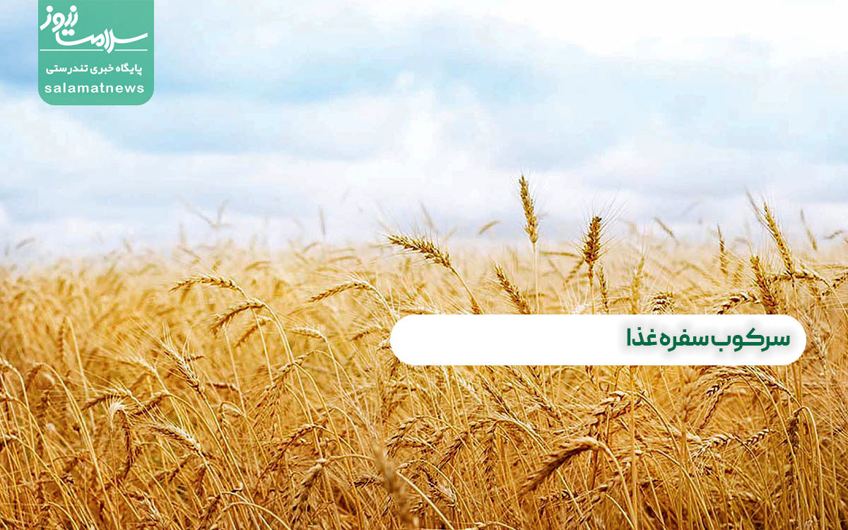 سرکوب سفره غذا سرکوب سفره غذا