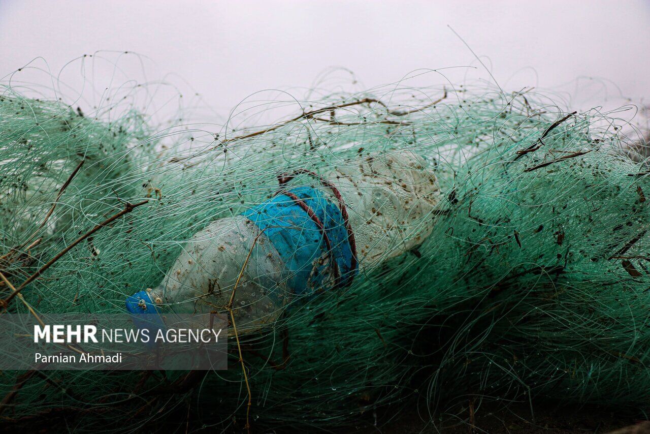 (تصاویر) خزر در مرز خفگی!