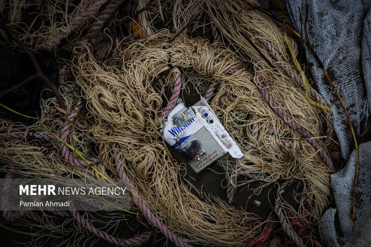 (تصاویر) خزر در مرز خفگی!