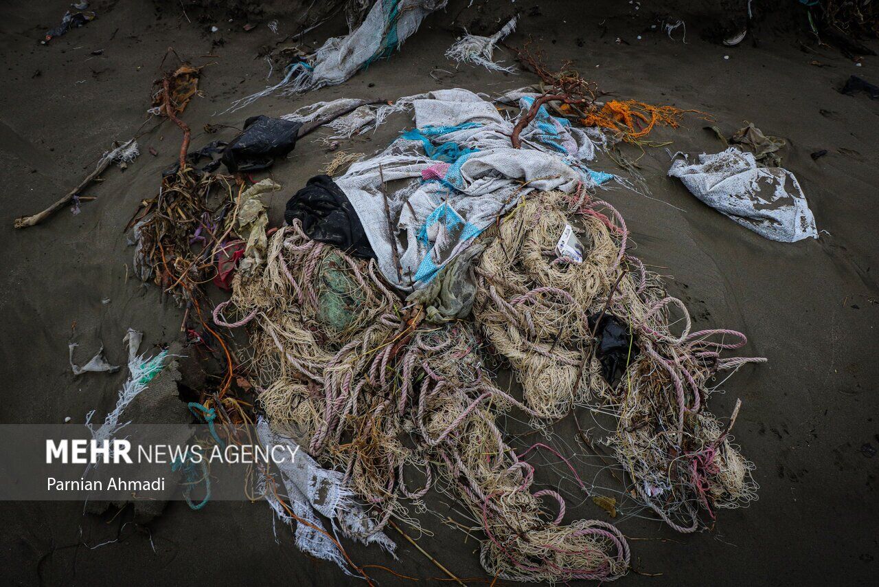 (تصاویر) خزر در مرز خفگی!