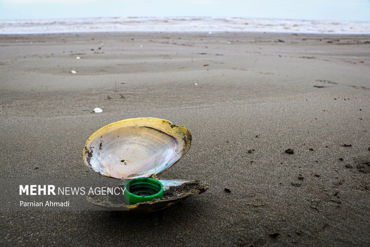 (تصاویر) خزر در مرز خفگی!