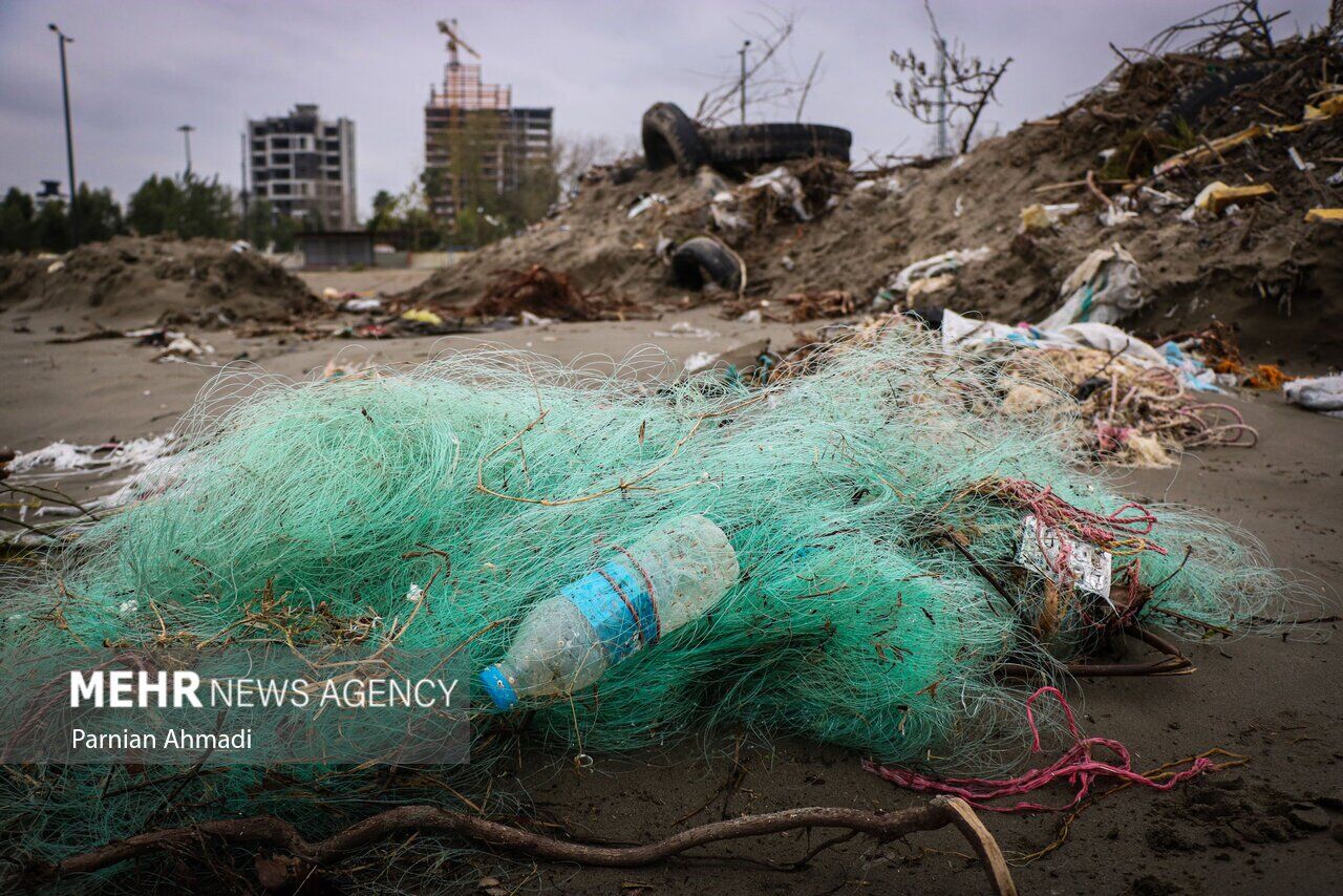 (تصاویر) خزر در مرز خفگی!