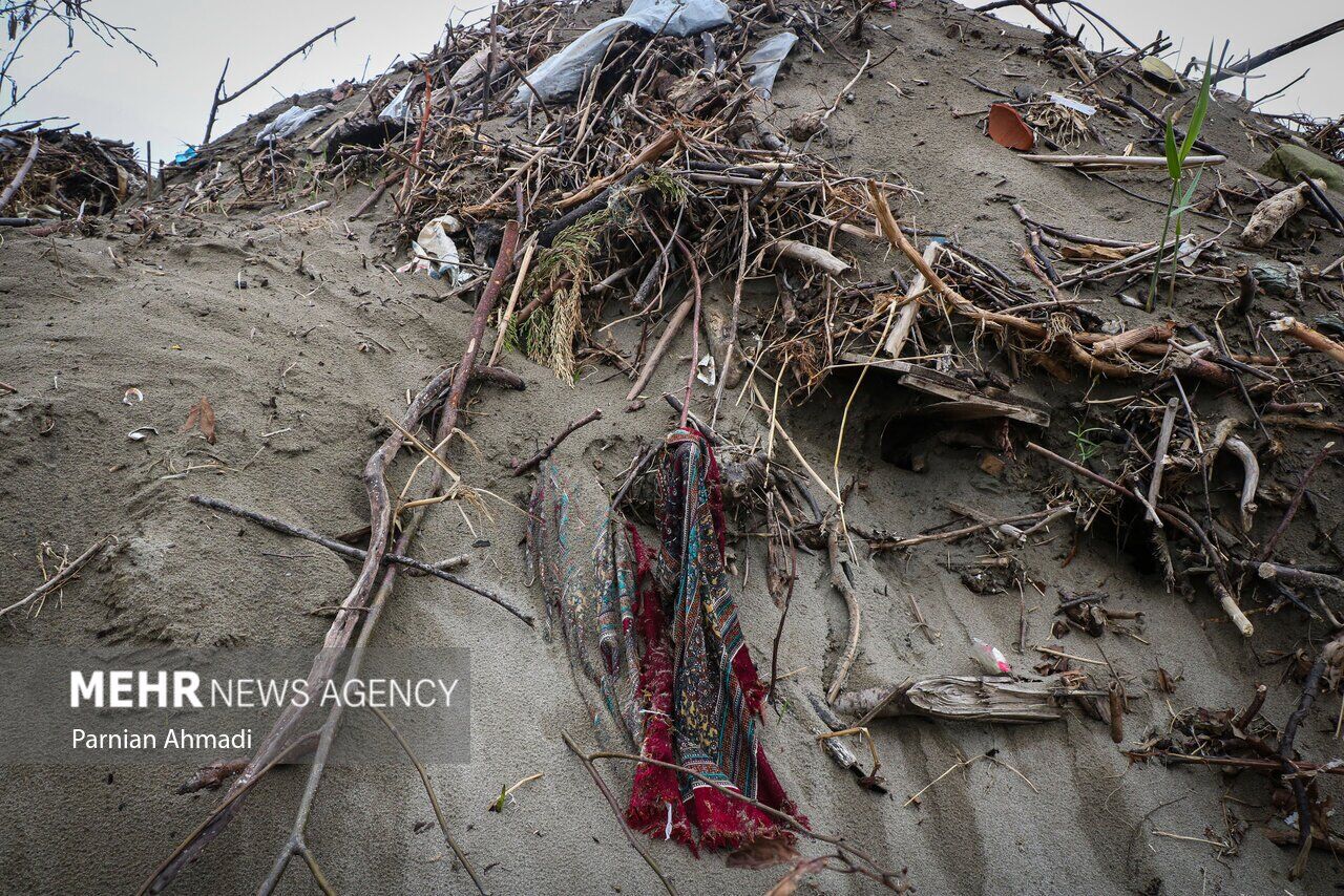 (تصاویر) خزر در مرز خفگی!