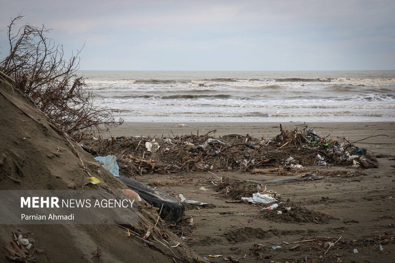 (تصاویر) خزر در مرز خفگی!