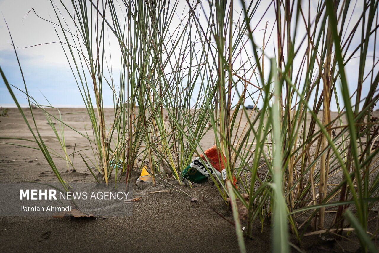 (تصاویر) خزر در مرز خفگی!