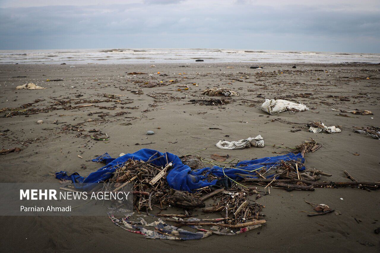 (تصاویر) خزر در مرز خفگی!