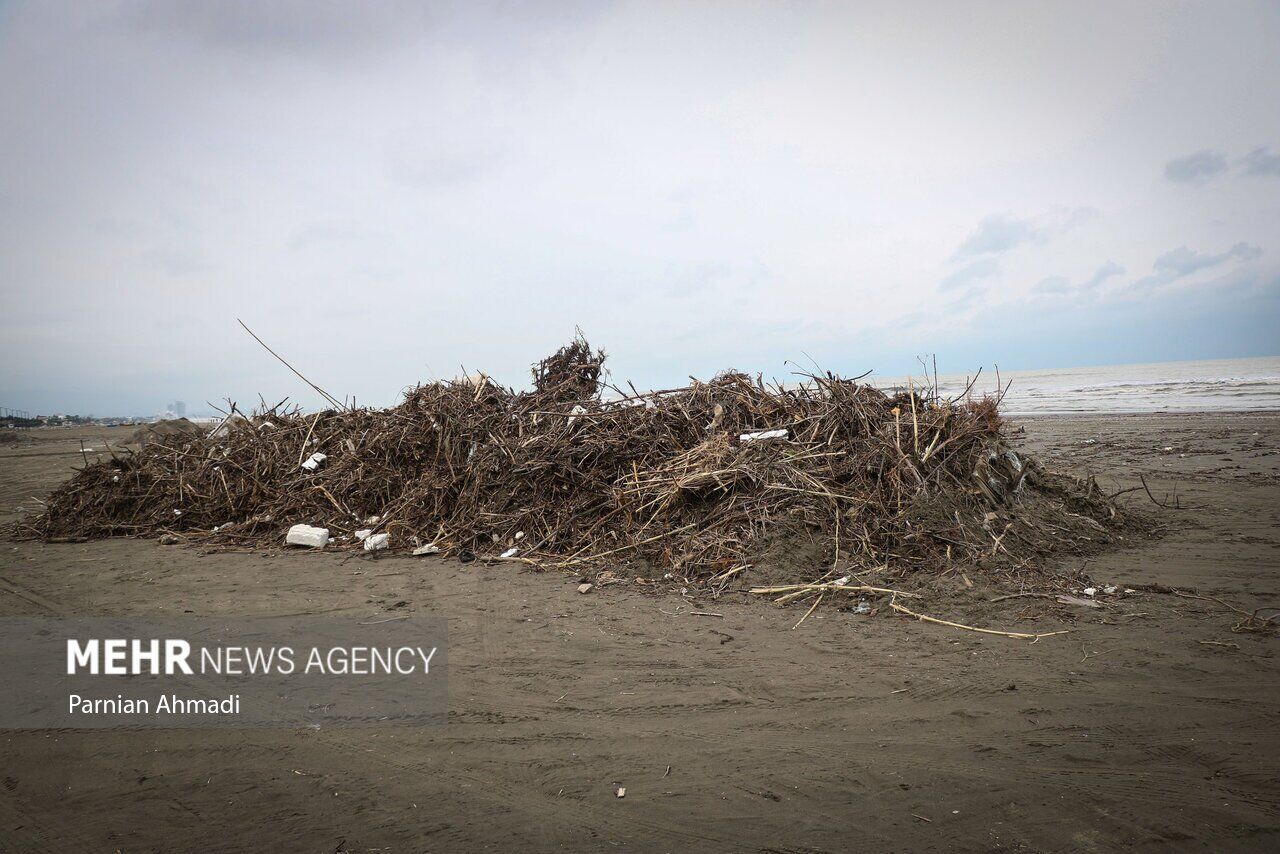 (تصاویر) خزر در مرز خفگی!