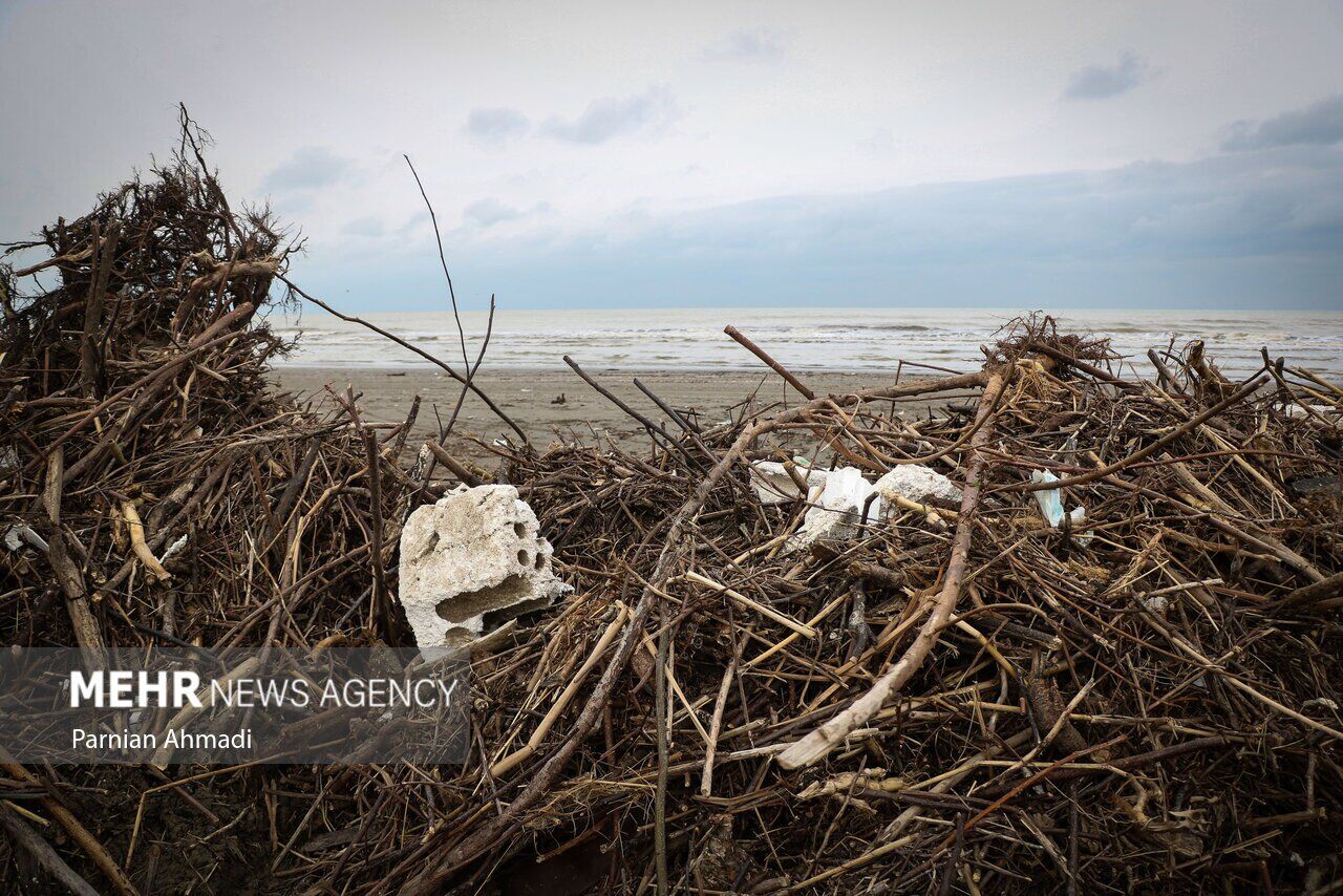 (تصاویر) خزر در مرز خفگی!