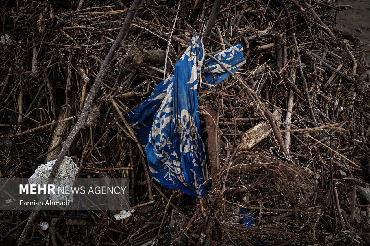 (تصاویر) خزر در مرز خفگی!