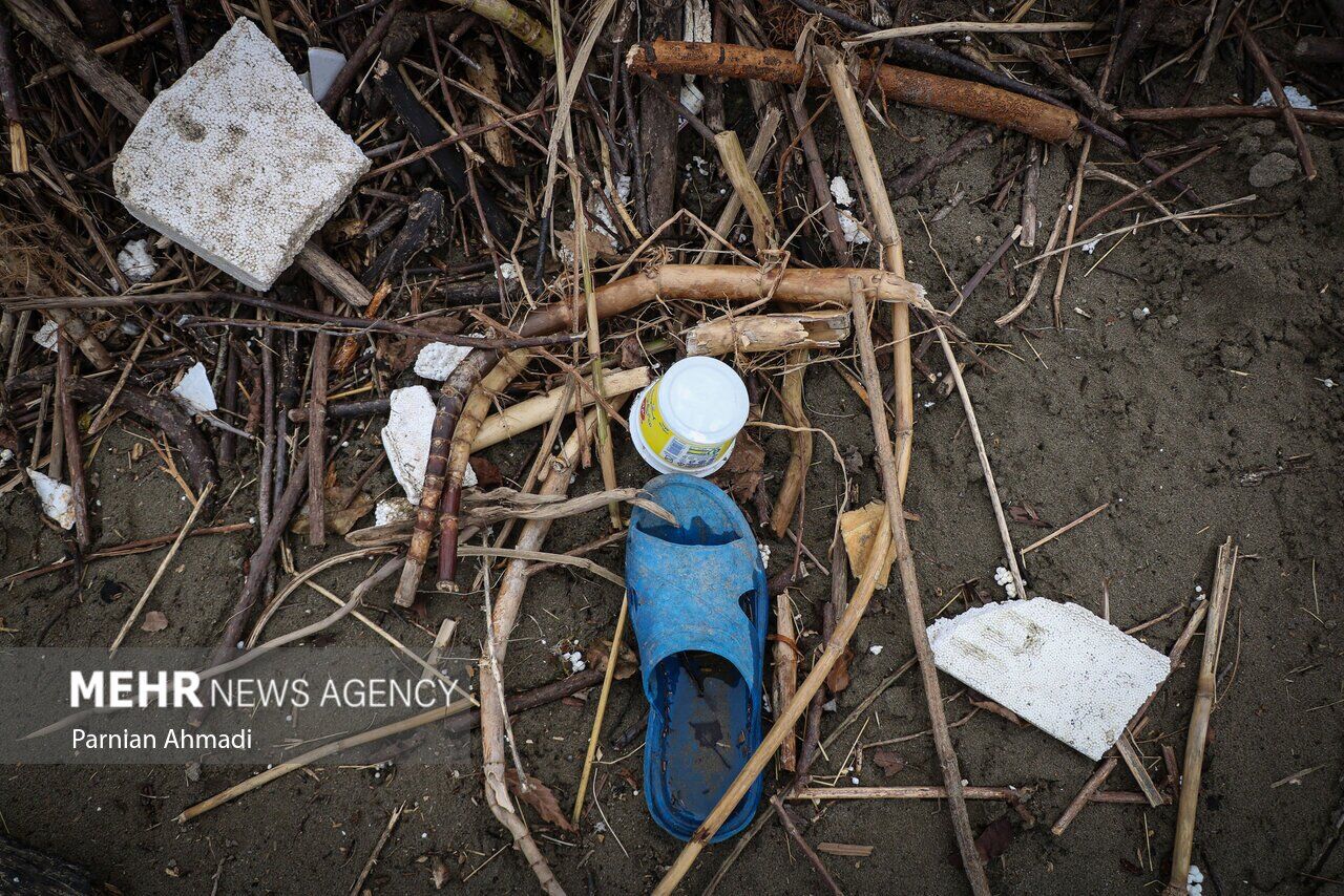 (تصاویر) خزر در مرز خفگی!