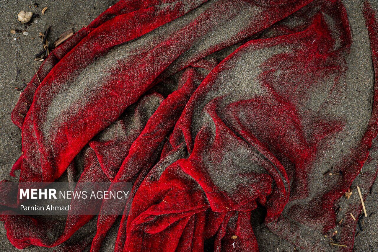 (تصاویر) خزر در مرز خفگی!