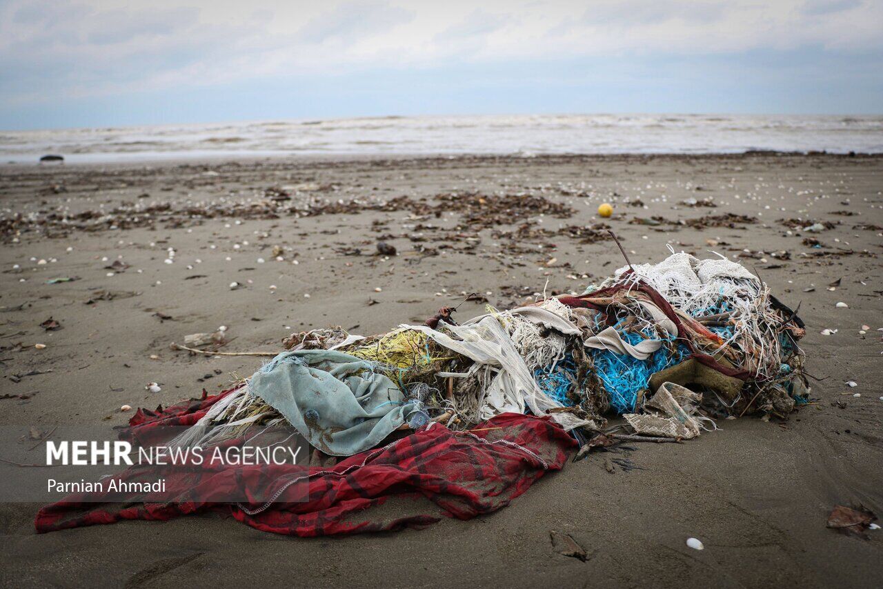 (تصاویر) خزر در مرز خفگی!
