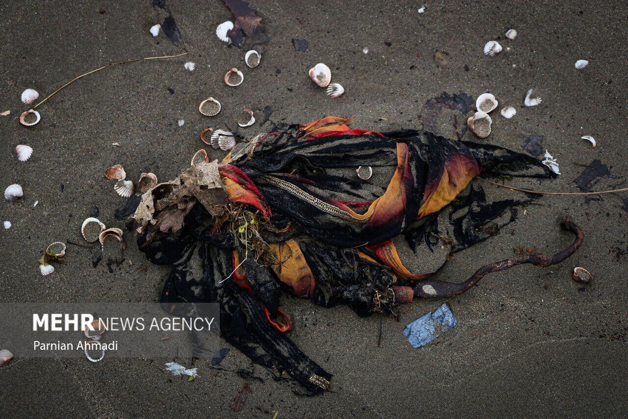 (تصاویر) خزر در مرز خفگی!