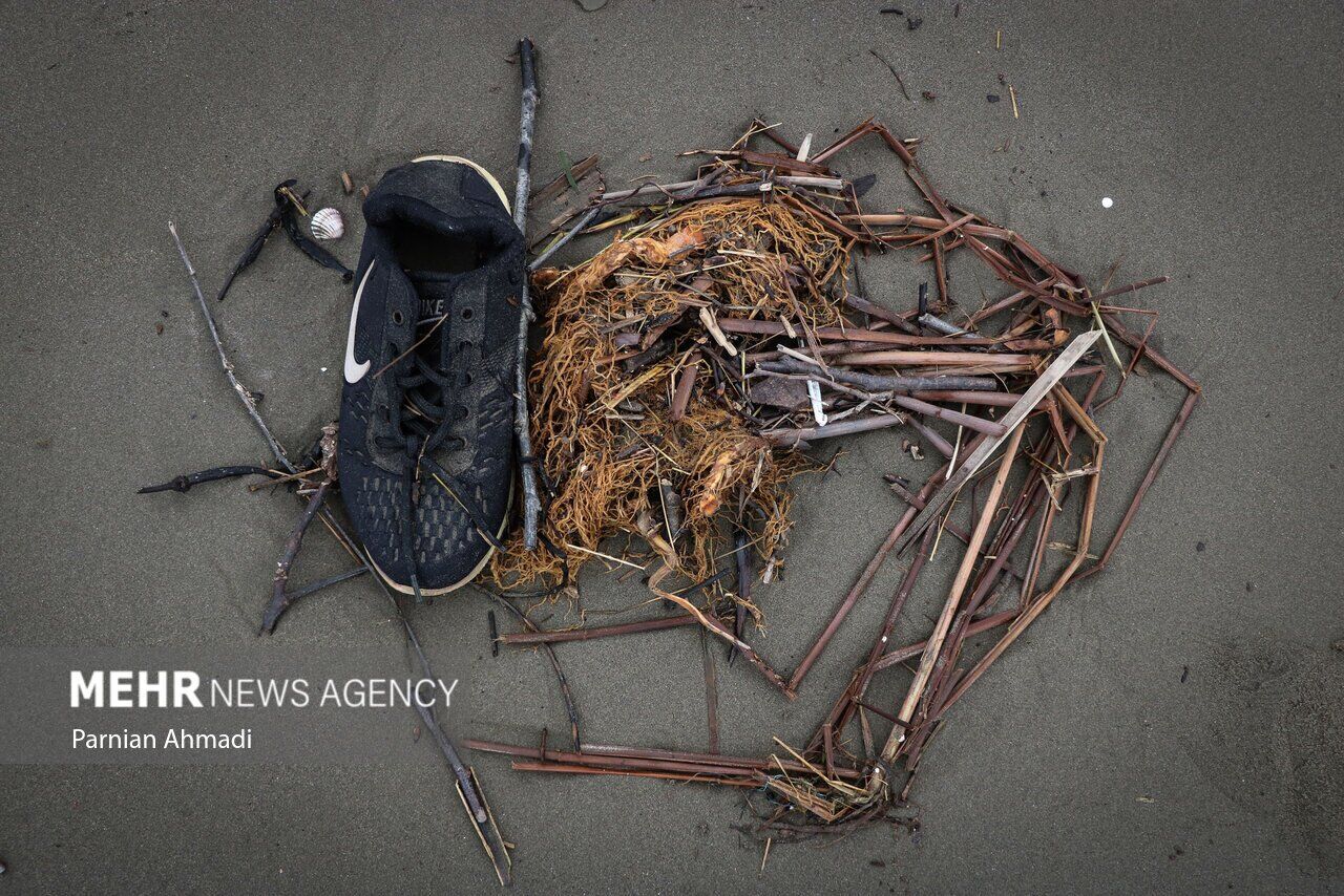 (تصاویر) خزر در مرز خفگی!