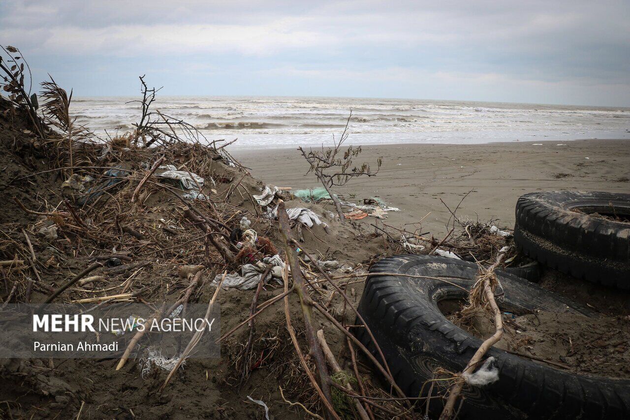 (تصاویر) خزر در مرز خفگی!