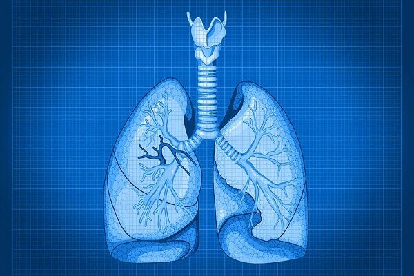 افزایش موارد ابتلا به «بیماری مزمن انسدادی ریه» در جهان تا ۲۰۵۰