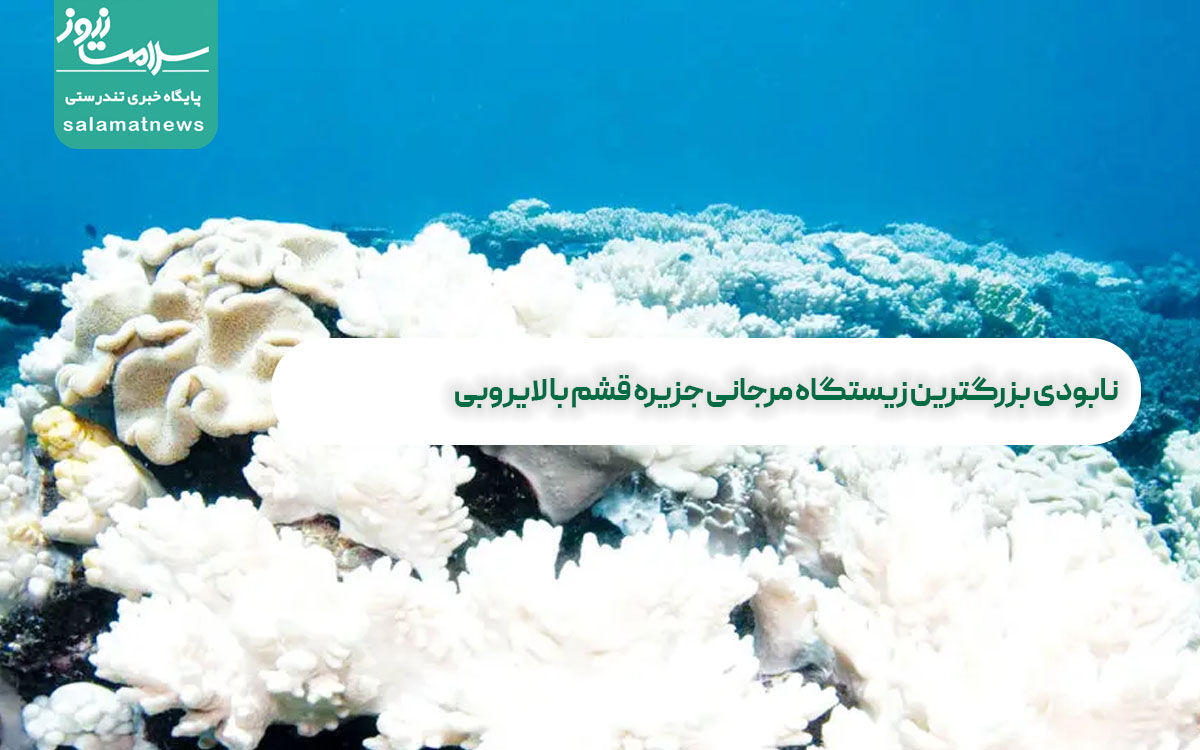 نابودی بزرگترین زیستگاه مرجانی جزیره قشم با لایروبی