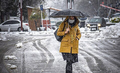 بارش برف و باران در کشور/ وزش باد شدید در برخی استان‌ها