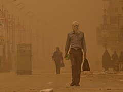 وزش باد شدید و گردوخاک در نوار شرقی کشور