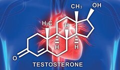 پایین‌بودن تستوسترون چگونه بر سلامت قلب اثر می‌گذارد؟