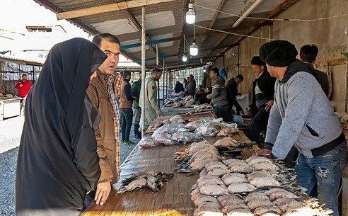 بازار پرندگان وحشی فریدونکنار تعطیل شد بازار پرندگان وحشی فریدونکنار تعطیل شد