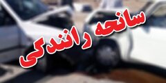 سانحه رانندگی سرویس مدرسه در استان فارس هفت مصدوم داشت