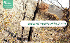 چند سناریو از قطع درختان بوستان های تهران