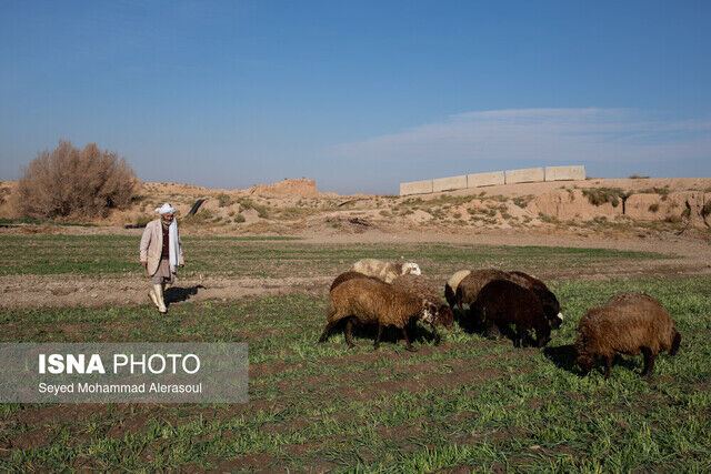 کشف رود؛ رودخانه سرطان