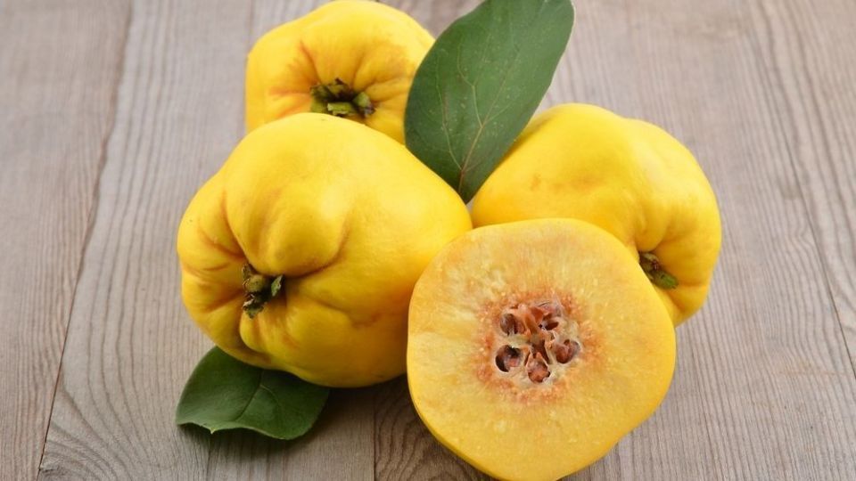 این میوه خوش بو دربرابرعفونت ها مقاومتان می کند این میوه خوش بو دربرابرعفونت ها مقاومتان می کند