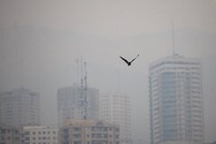 آثار هوای آلوده بر سلامت ۳۳ شهر ایران طی ۱۴۰۱ / ۷ میلیون مرگ زودرس در جهان منتسب به آلودگی هوا
