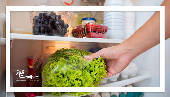 ۸ ماده خوراکی که حتی در یخچال هم زود فاسد میشوند ۸ ماده خوراکی که حتی در یخچال هم زود فاسد میشوند