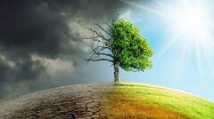 تغییرات آب و هوایی چه میزان از طول عمر را کاهش می‌دهد؟