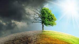 تاثیر تغییرات زیستمحیطیِ جهان روی برخی عارضههای مغزی تاثیر تغییرات زیستمحیطیِ جهان روی برخی عارضههای مغزی