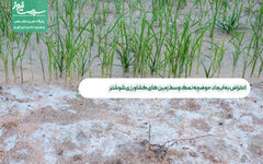 اعتراض به ایجاد حوضچه نمک وسط زمین های کشاورزی شوشتر
