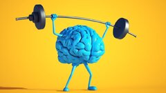 ارتباط فعالیت ورزشی با افزایش حجم مغز