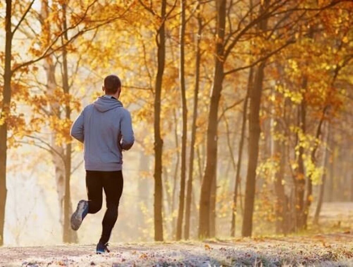 چند روش برای افزایش انرژی بدن چند روش برای افزایش انرژی بدن
