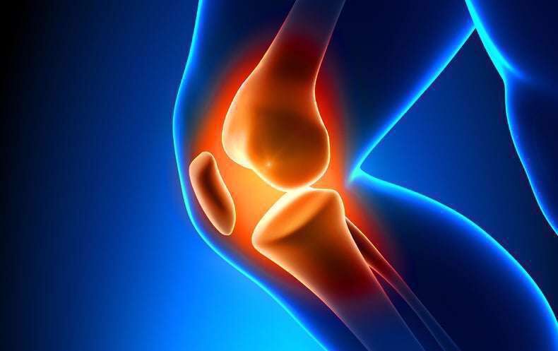 از پارگی مینیسک زانو چه میدانید؟ از پارگی مینیسک زانو چه میدانید؟