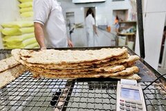 «نان کامل» در سفره زنجانی‌ها