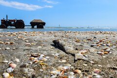 خشک شدن ۱.۵ میلیون مترمربع از نوار ساحلی مازندران