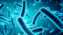 آمریکا هشدار داد/ شیوع یک باکتری خطرناک؛ مراقب باشید